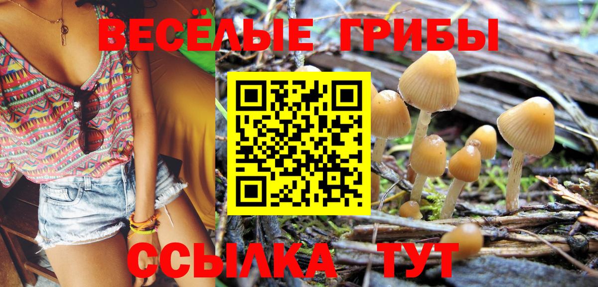 Галлюциногенные грибы мицелий  Галлюциногенные грибы мицелий  Нижнеудинск  цена   Вход с VPN 